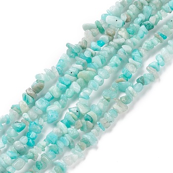 Natural Exotic Amazonite Chips Beads Strands, 5~8mm, Hole: 0.3mm