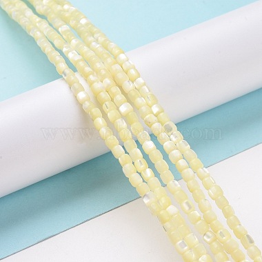 Brins de perles de coquillages naturels de troca(SSHEL-H070-02F)-2