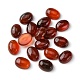Natural Red Agate Cabochons(G-A094-01B-02)-1