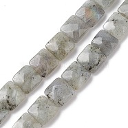 Natural Labradorite Beads Strands, Faceted Square, 10x10x5mm, Hole: 1.2mm, about 20pcs/strand, 7.95''(20.2cm)(G-K359-B17-01)