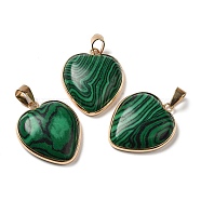 Natural Malachite Pendants, Heart Charms, with Golden Tone Iron and Brass Findings, 29x24~24.5x6~6.5mm, Hole: 7~7.3x3.8~4.3mm(G-K335-04G-11)