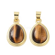 Natural Tiger Eye Pendants, Teardrop Charms with Rack Plating Brass Findings, Cadmium Free & Lead Free, 23x14.5x6mm, Hole: 4x6mm.(G-M405-05G-04)