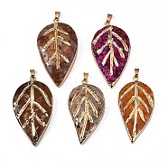 Natural Agate Big Pendants, with Light Gold Plated Iron Findings, Dyed & Heated, Leaf, Mixed Color, 56~62x30~39.5x9~13.8mm, Hole: 4x6~7mm(G-N326-106)