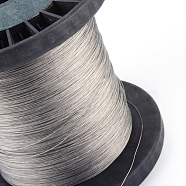 Tiger Tail, Original Color(Raw) Wire, Nylon-coated 304 Stainless Steel, Raw, 0.45mm, about 5905.51 Feet(1800m)/1000g(TWIR-S003-0.45mm-1)