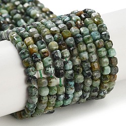 Natural African Turquoise(Jasper) Beads Strands, Faceted, Cube, 3x3x3mm, Hole: 0.7mm, about 129pcs/strand, 15.35 inch(39cm)(G-A02-03)