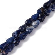 Natural Sodalite Beads Strands, Faceted, Teardrop, 5.5~8.3x4.1~4.35mm, Hole: 0.5mm, about 30pcs/strand, 7.48 inch(19cm)(G-C080-B05-01A)