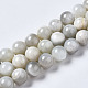 Natural White Moonstone Beads Strands(G-N328-51C-01)-1