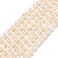 Natural Cultured Freshwater Pearl Beads Strands, Two Sides Polished, Grade 7A, Linen, 3~3.5x4~4.5mm, Hole: 0.5mm, about 67pcs/strand, , 13.98''~14.17''(35.5~36cm)(PEAR-E016-105)