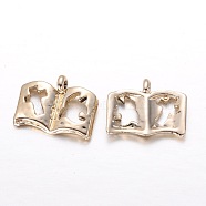 Alloy Charms, Teachers' Day Charms,  Long-Lasting Plated, Book, Light Gold, 14x18x3mm, Hole: 1mm(PALLOY-G131-19G-AAA)