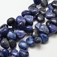 Natural Sodalite Teardrop Beads, 18x15x10mm, Hole: 1mm(G-P094-07)