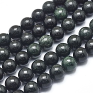 Natura Myanmar Black Jade Beads Strands, Round, 10mm, Hole: 1mm, about 40pcs/Strand, 15.75 inch(40cm)(G-D0001-06-10mm)