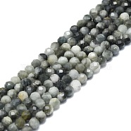 Natural Hawk's Eye Beads Strands, Eagle Eye Stone, Faceted, Round, 4mm, Hole: 0.8mm, about 85pcs/strand, 15.16''~15.55''(38.5~39.5cm)(G-P457-A03-06)