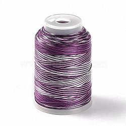 3-Ply Segment Dyed Nylon Thread Cord, DIY Material for Jewelry Making, Purple, 0.3mm, about 546.81 Yards(500m)/Roll(NWIR-F011-01A)