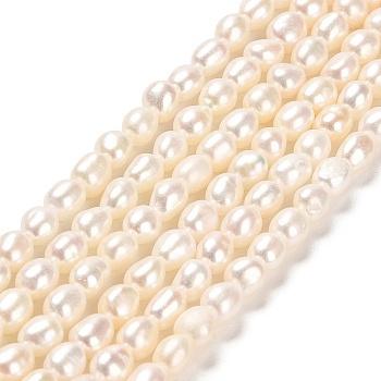 Natural Cultured Freshwater Pearl Beads Strands, Two Sides Polished, Grade 7A, Linen, 3~3.5x4~4.5mm, Hole: 0.5mm, about 67pcs/strand, , 13.98''~14.17''(35.5~36cm)
