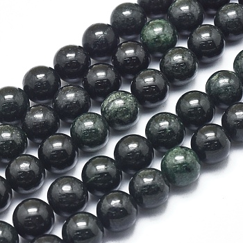 Natura Myanmar Black Jade Beads Strands, Round, 10mm, Hole: 1mm, about 40pcs/Strand, 15.75 inch(40cm)