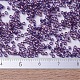 MIYUKI Delica Beads Small(SEED-X0054-DBS0117)-4