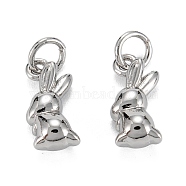 Brass Charms, with Jump Ring, Long-Lasting Plated, Lead Free & Nickel Free & Cadmium Free, Rabbit, Real Platinum Plated, 13x6x4.5mm, Jump Ring: 5x1mm, 3.5mm Inner Diameter(KK-C223-14P)