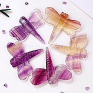 Natural Fluorite Display Decorations, Reiki Energy Stone Ornament, Dragonfly, 65~75x75~80mm(WG90746-01)