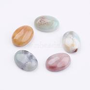 Natural Flower Amazonite Cabochons, Oval, 18x13x6mm(G-K217-01B)