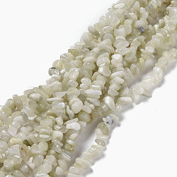 Natural White Moonstone Chip Bead Strands, 5~8x5~8mm, Hole: 1mm, about 31.5 inch(X-G-M205-68)
