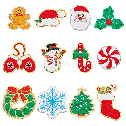 12Pcs 12 Style Christmas Theme Towel Embroidery Cloth Iron on/Sew on Patches, Costume Accessories, Appliques, Mixed Color, 46.5~102x53~89x2.5~3mm, 1pc/style(PATC-FG0001-47)