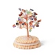 Денежное дерево из натуральных драгоценных камней в купольных стеклянных колокольчиках с украшениями на деревянной основе(DJEW-B007-04E)-2