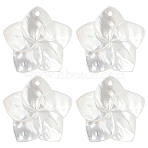 4Pcs Natural White Shell Mother of Pearl Shell Pendants, Flower Charms, 18.5x19x2mm, Hole: 1.5mm(SSHEL-YW0001-10)