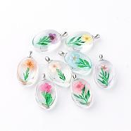Glass Pendants, with Dried Flower Inside, Oval, Platinum, Mixed Color, 31x18x10~11mm, Hole: 5x2mm(GGLA-Q047-16)