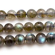 Natural Labradorite Beads Strands, Grade AA, Round, 10mm, Hole: 1mm, about 39pcs/strand, 15.75 inch(G-G448-10mm-04B)