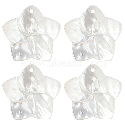 4Pcs Natural White Shell Mother of Pearl Shell Pendants, Flower Charms, 18.5x19x2mm, Hole: 1.5mm(SSHEL-YW0001-10)