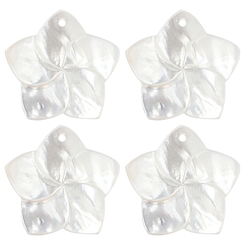 4Pcs Natural White Shell Mother of Pearl Shell Pendants, Flower Charms, 18.5x19x2mm, Hole: 1.5mm