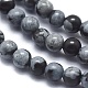 Natural Snowflake Obsidian Beads Strands(G-A177-04-21)-3
