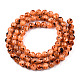 Drawbench Style Dyed Natural Freshwater Shell Beads Strands(SHEL-T019-01D)-3